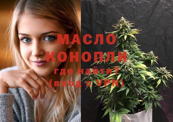 метадон Богданович